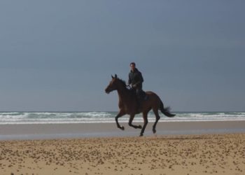 PJ Plage PJ Plage