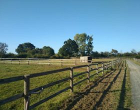 Paddocks et Abris