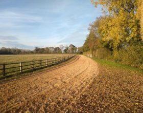 Piste de galop